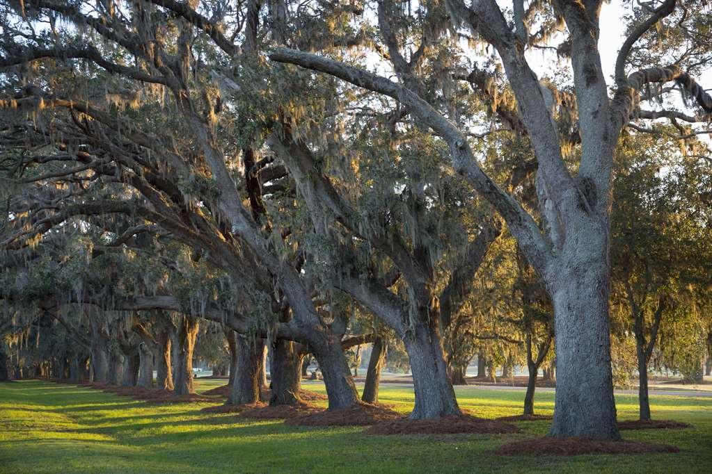The Lodge At Sea Island St. Simons Island Konforlar fotoğraf