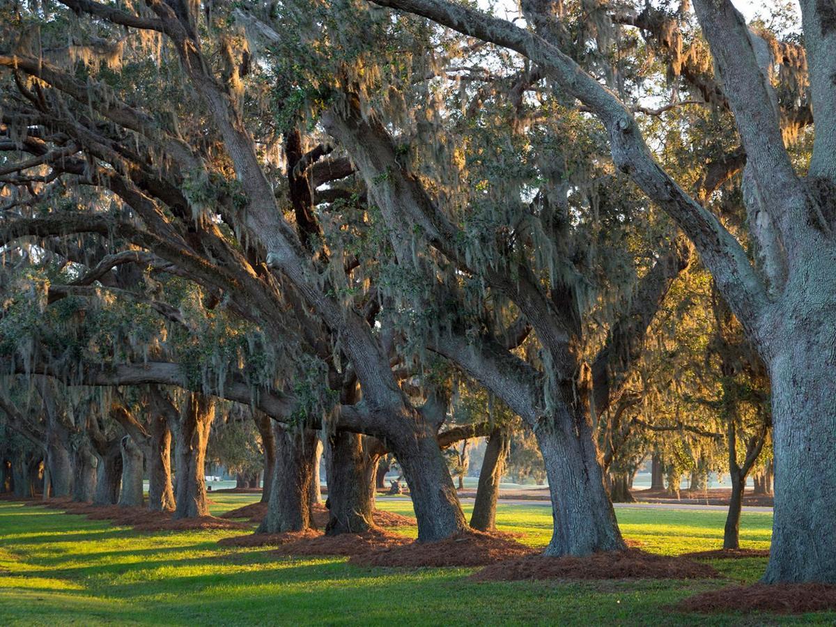 The Lodge At Sea Island St. Simons Island Dış mekan fotoğraf